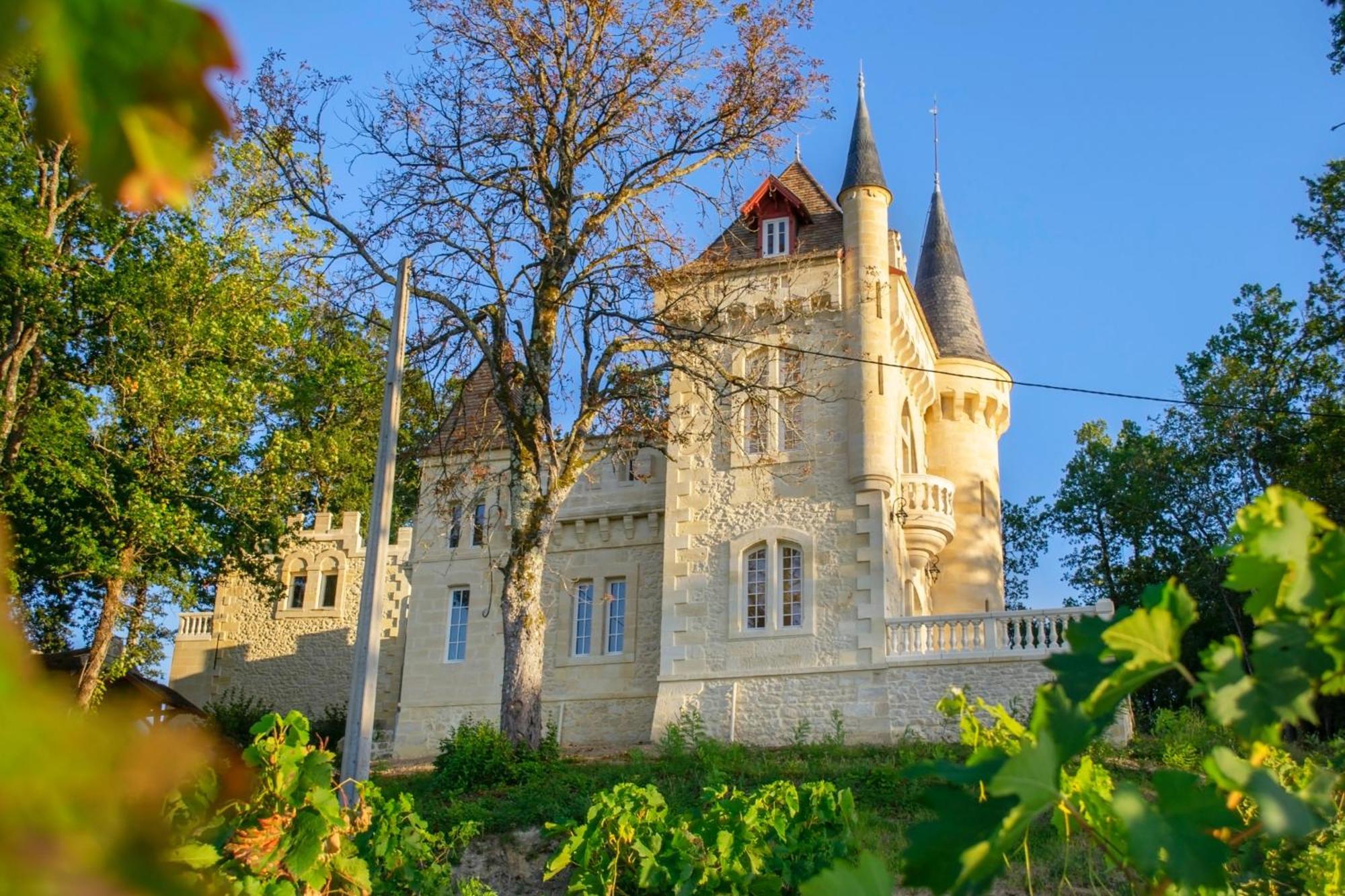 La Reserve Du Chateau De Roques Пюиссеген Экстерьер фото