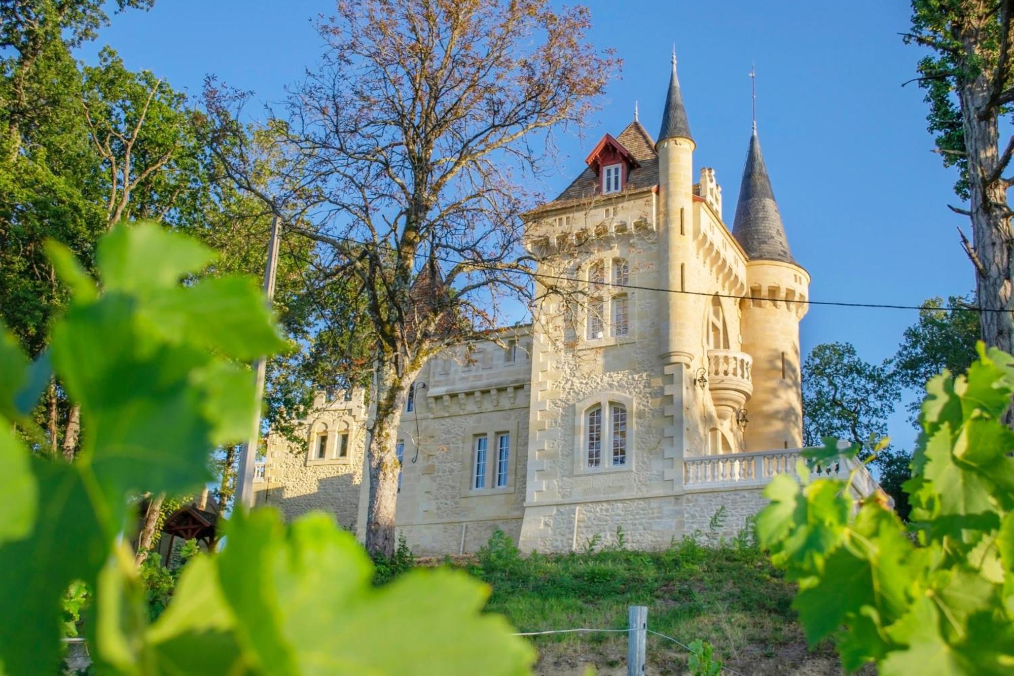 La Reserve Du Chateau De Roques Пюиссеген Экстерьер фото